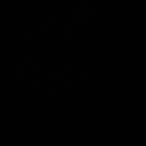 Meet your Posher, Ayden